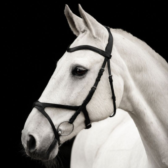 Bridle Arthur Black