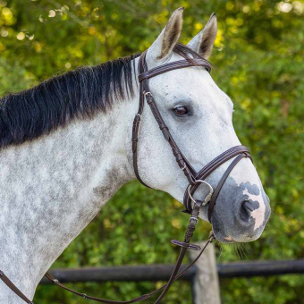 Anatomical Bridle Luxury Stitched Dark Brown