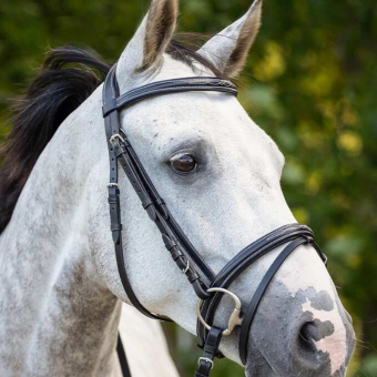 Anatomical Bridle Luxury Stitched Black