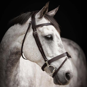 Bridle Trainer Basic Dark Brown