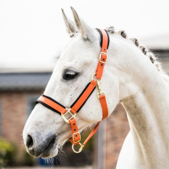 Halter Werano Orange