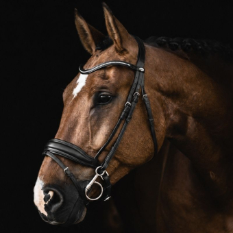 Dressage Bridle Integro Black