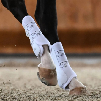 Dressage Boots Absolute Rear Elastic White