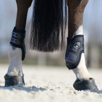 Fetlock Boots Olympus Absolute Black