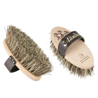 Dandy Brush Icelandic Extra Stiff Bristles