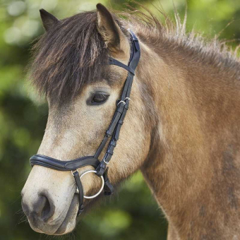 Icelandic Bridle Anatomic Black
