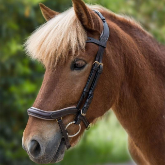 Icelandic Bridle Anatomic Brown