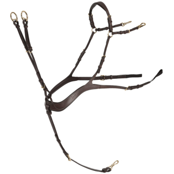 Anatomical Breastplate with Martingale Chocolate/Gold