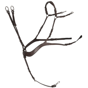 Anatomical Breastplate with Martingale Chocolate/Silver