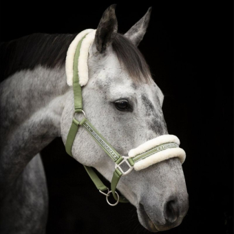 Halter with Fleece Olive Green/Natural