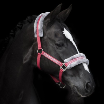 Halter with Fleece Red/Grey