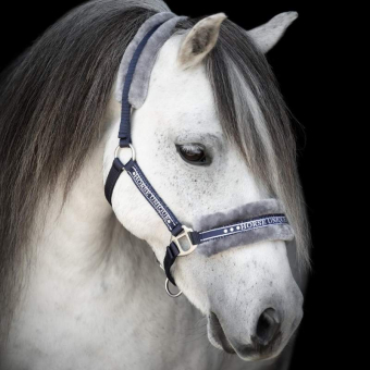 Halter with Fleece Navy/Grey