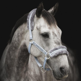 Halter with Fleece Light Blue/Grey