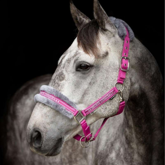 Halter with Fleece Pink/Grey