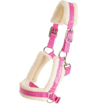 Foal Halter Kenzo Pink
