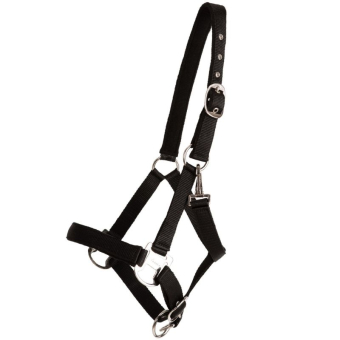 Halter Double Buckle Black