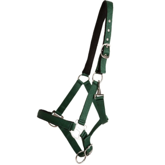Halter Double Buckle Green
