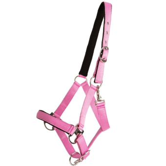 Halter Double Buckle Pink