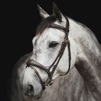 Bridle Supreme Fancy Dark Brown