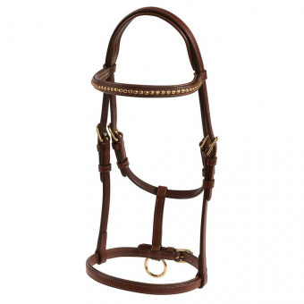 Show Halter Foal Brown