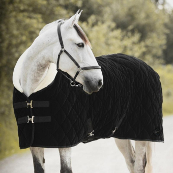 Show Rug Black Velvet 150g Black