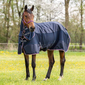 Rain & Fly Rug Turnout Navy Blue