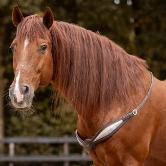 Neck Rope Leather Whisper NH Brown