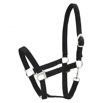 Head Collar HG Black
