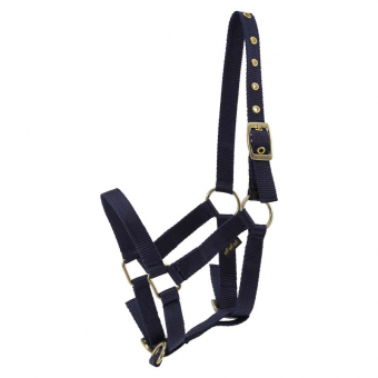 Foal Halter HG Navy