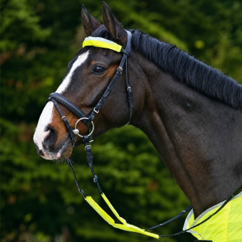 Bridle Reflector Set 3-pack Yellow