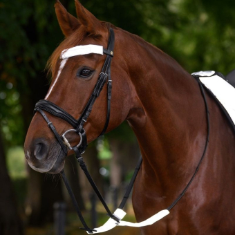 Bridle Reflector Set 3-pack Silver