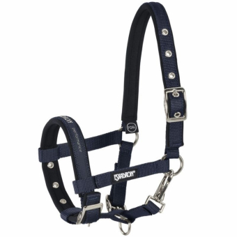 Foal Halter Navy Blue