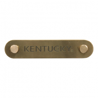Nameplate Logo Plate Gold