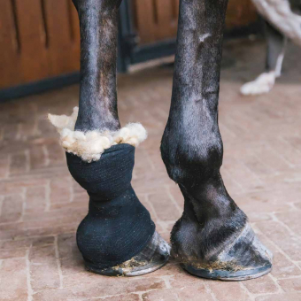 Wool Therapeutic 150g Nature