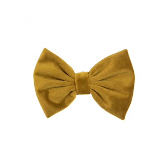 Dog Bow Tie Mustard Yellow