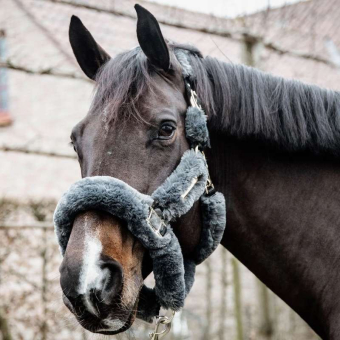Halter Shipping Sheepskin Grey