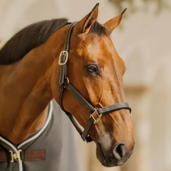 Leather Halter Artificial Wellington Black