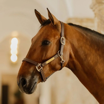 Leather Halter Artificial Wellington Brown