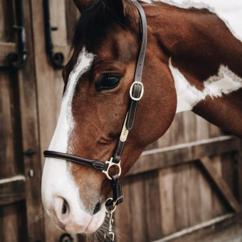 Grooming Halter Artificial Leather Brown