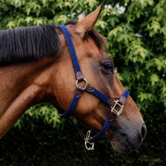 Braided Nylon Halter Navy