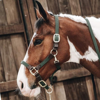 Braided Nylon Halter Olive Green