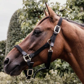 Braided Nylon Halter Black