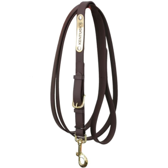 Presentation Lead Artificial Leather Brown