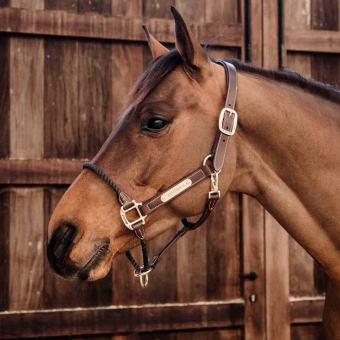 Leather Halter Rope Artificial Brown