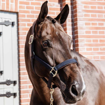 Halter Anatomic Nylon Navy Blue
