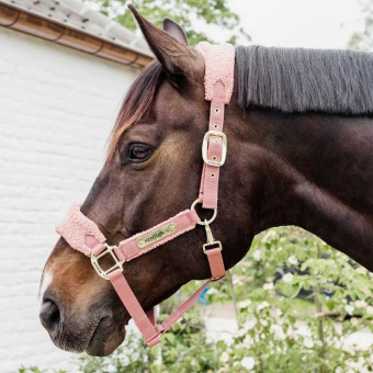 Halter Teddy Fleece Old Pink