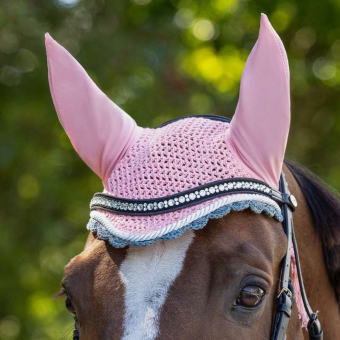 Ear Bonnet Color Pink/Grey