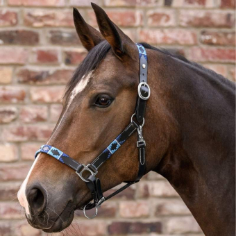 Leather Halter Polo X-Line Black/Blue