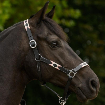 Leather Halter Polo X-Line Black/Pink