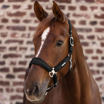 Halter Breath Black